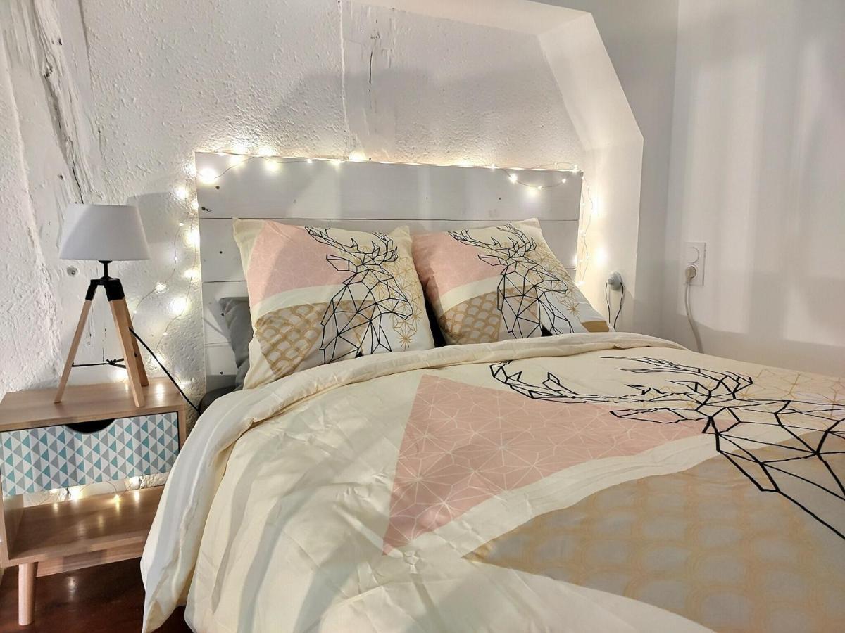 Ferienwohnung Le Temps Suspendu - Au Coeur D'Albi Exterior foto